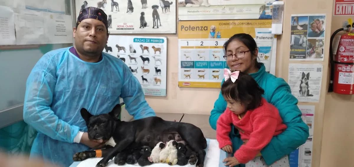 Veterihouse Centro Médico Veterinario