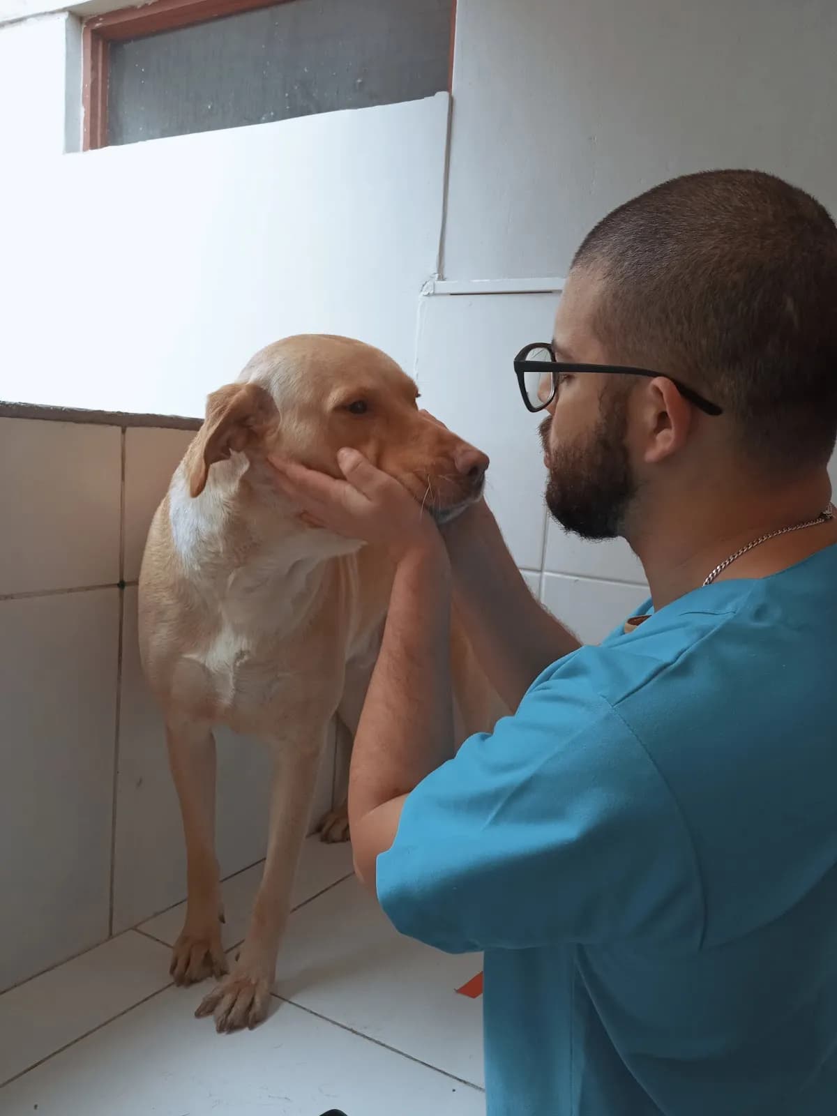 Urban Vet