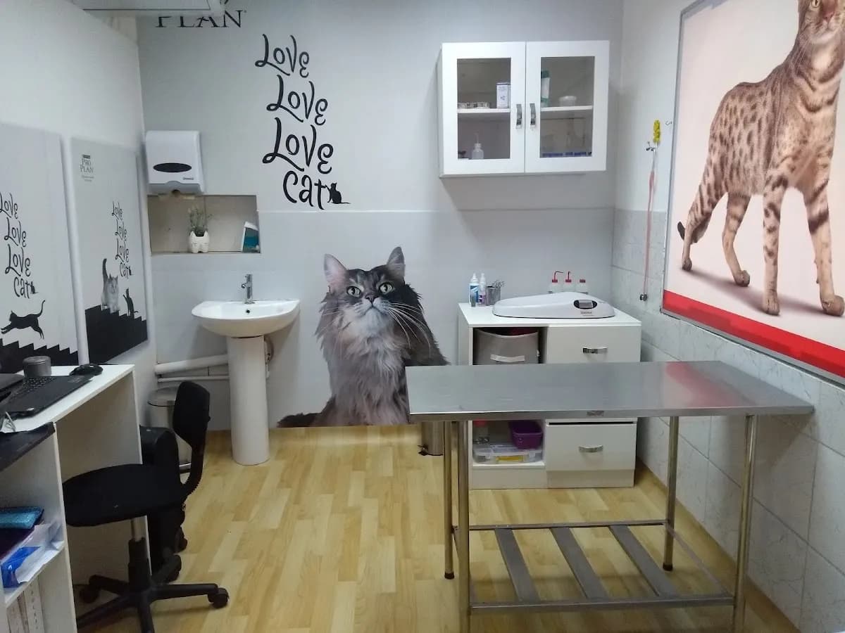Clinica Veterinaria Groomers Sede Juan de Aliaga