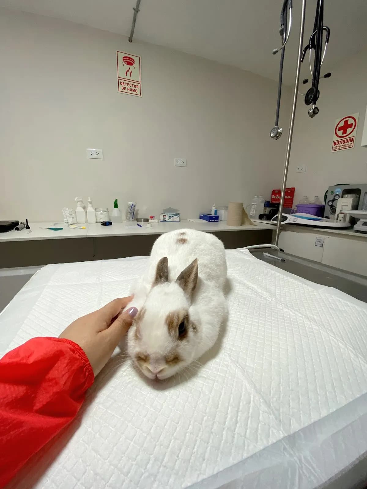 Clínica Veterinaria Exotic Kingdom