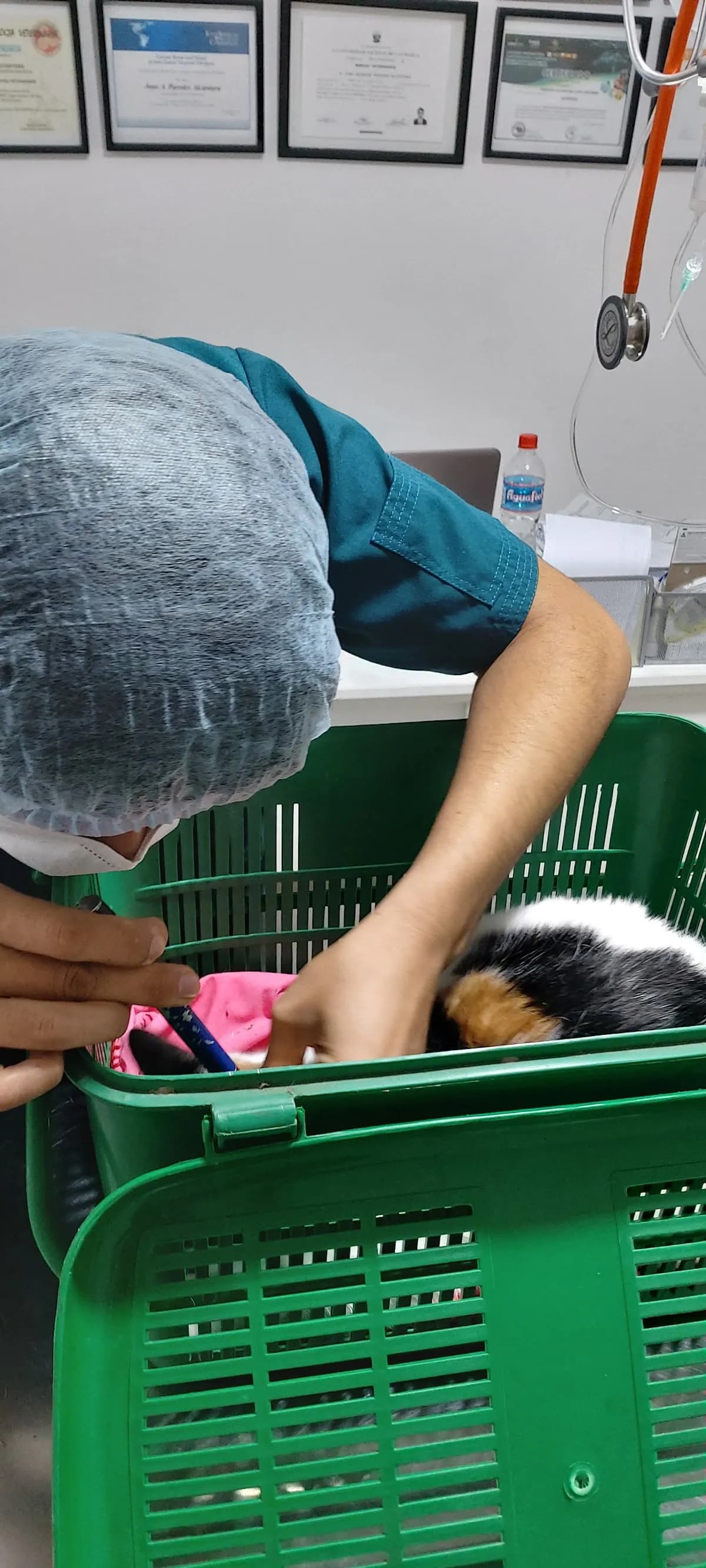CENTRO VETERINARIO ORÍGENES