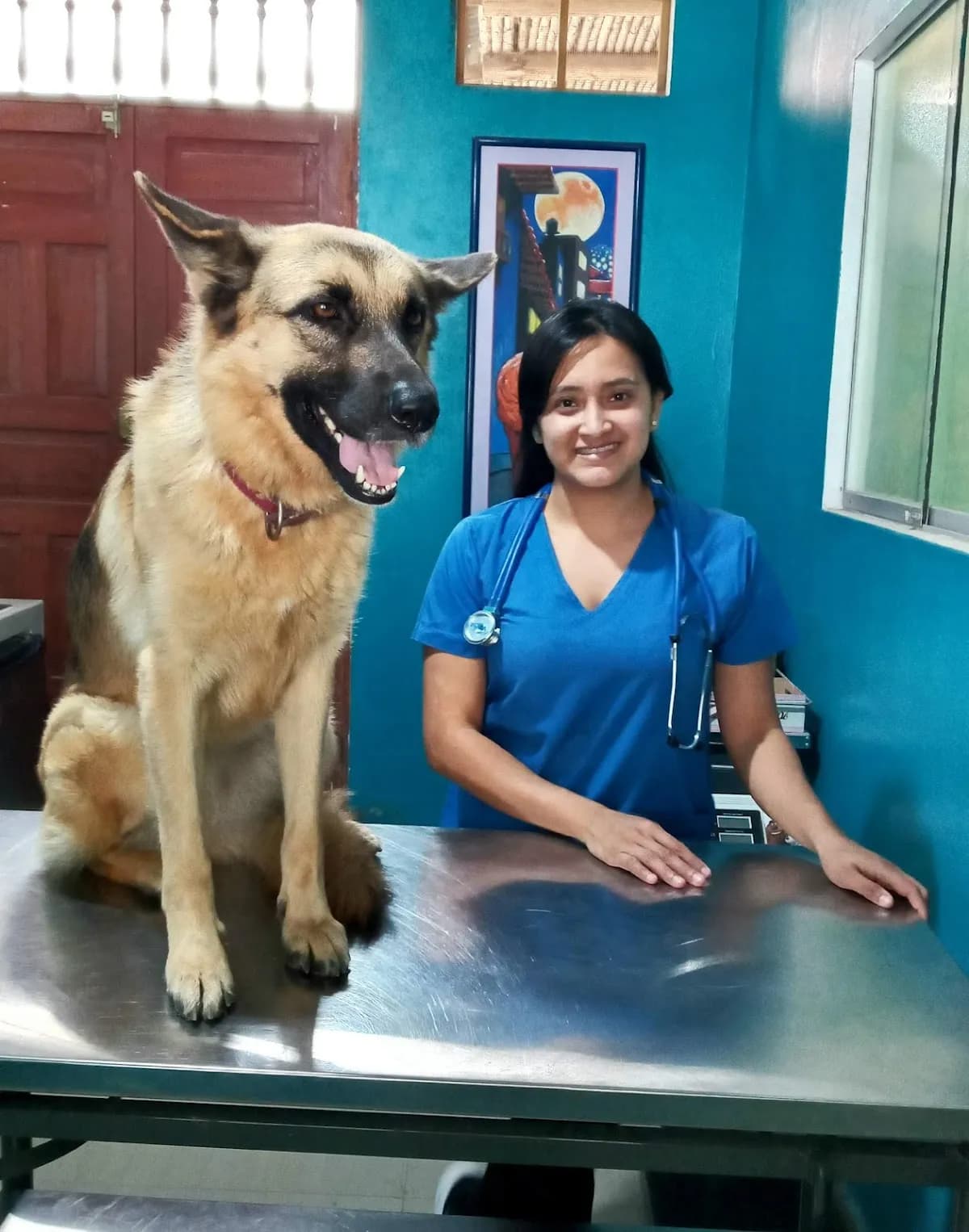 Gaia Consultorio Veterinario