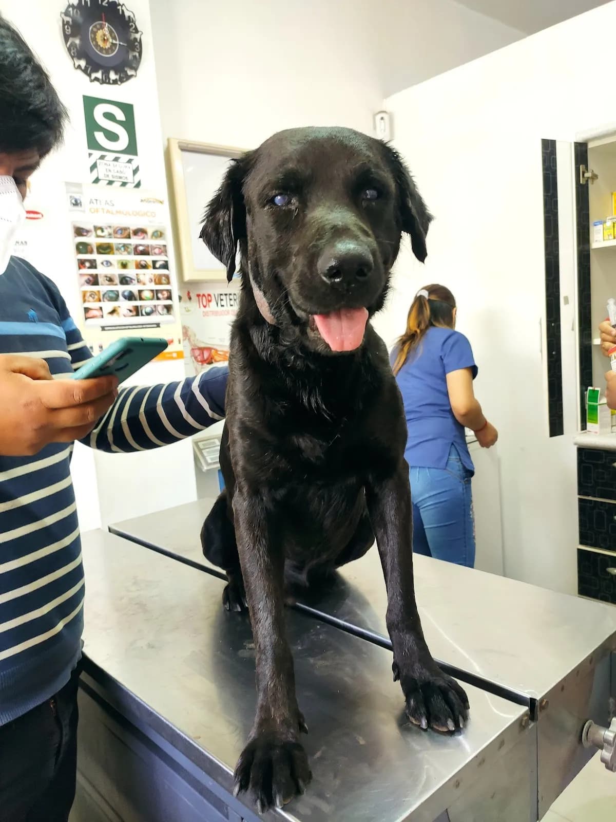 Clínica Veterinaria "+ Q' Patas"