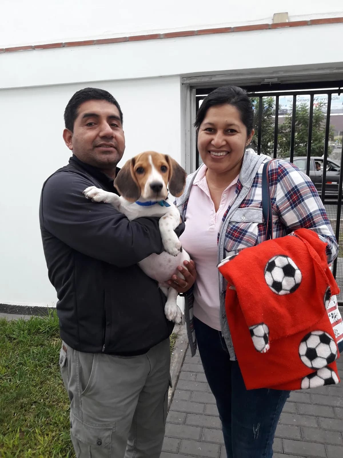 Clínica Veterinaria Vetmedical