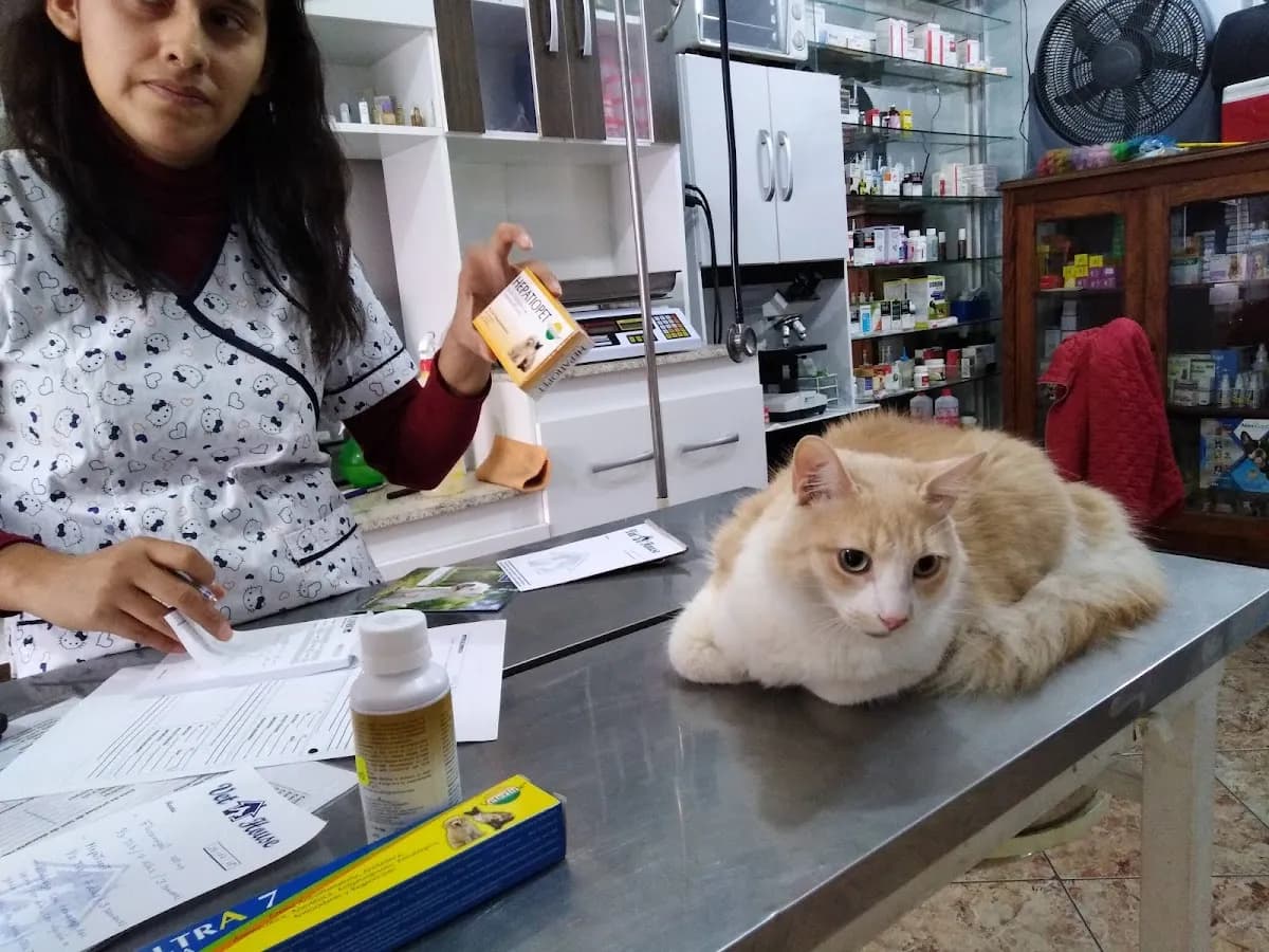 Clinica Veterinaria VET HOUSE