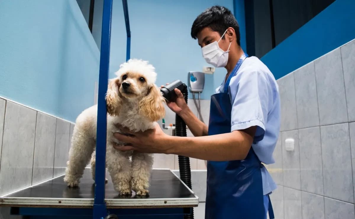 PETS PARK Clínica Veterinaria - Chiclayo