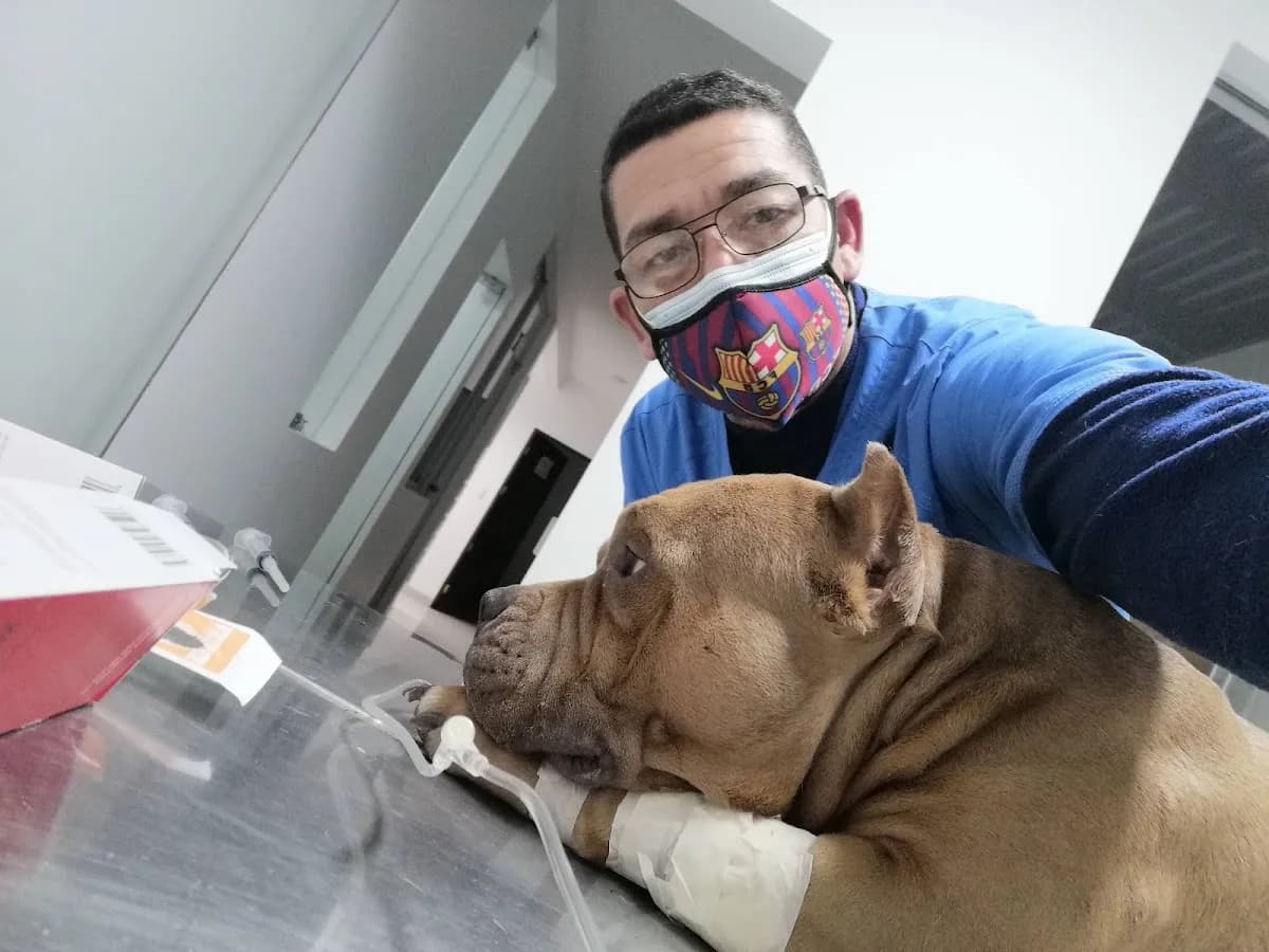 CLINICA VETERINARIA CANALES