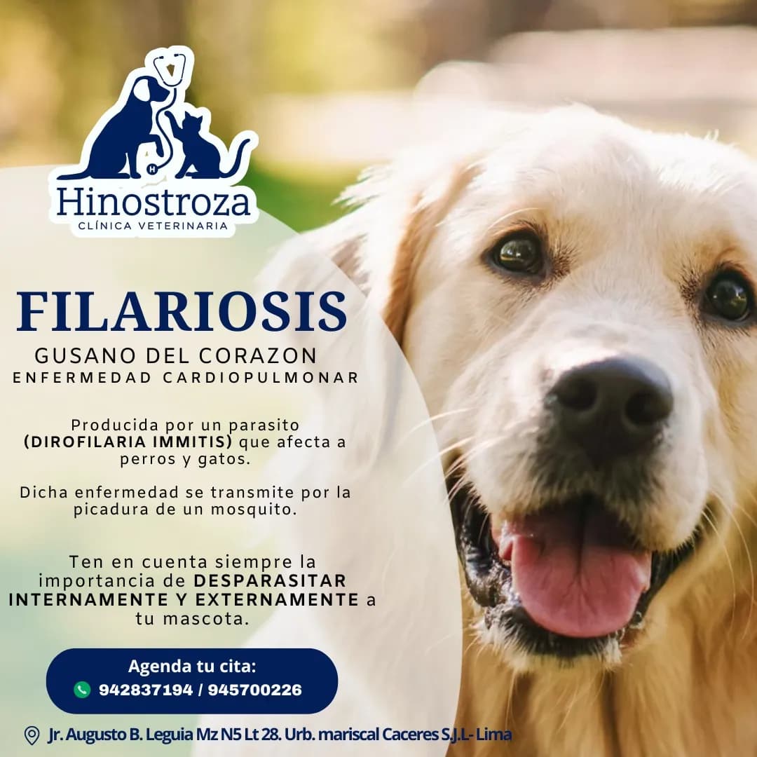 Clínica Veterinaria Hinostroza