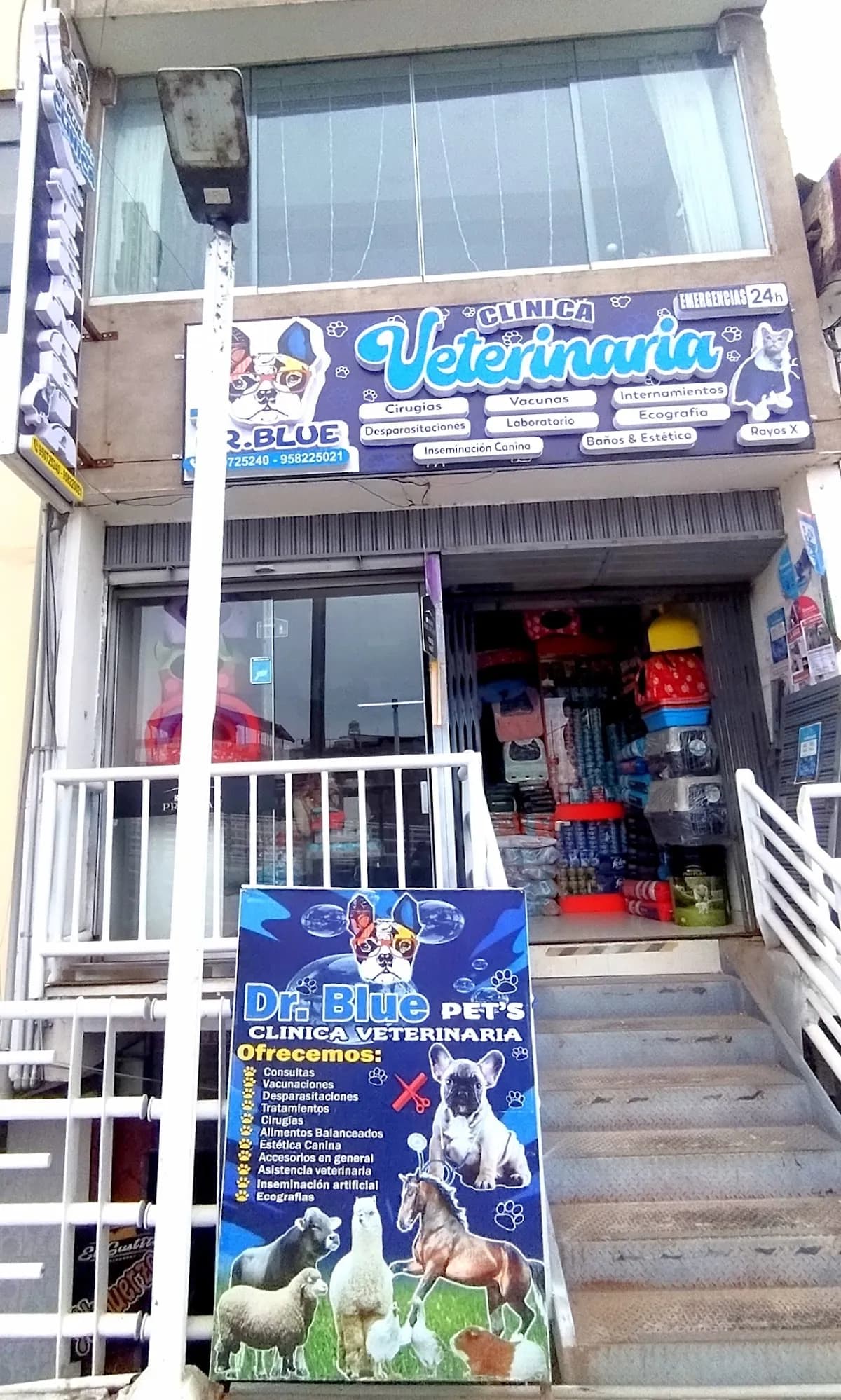 Clinica Veterinaria Dr. Blue Pet's