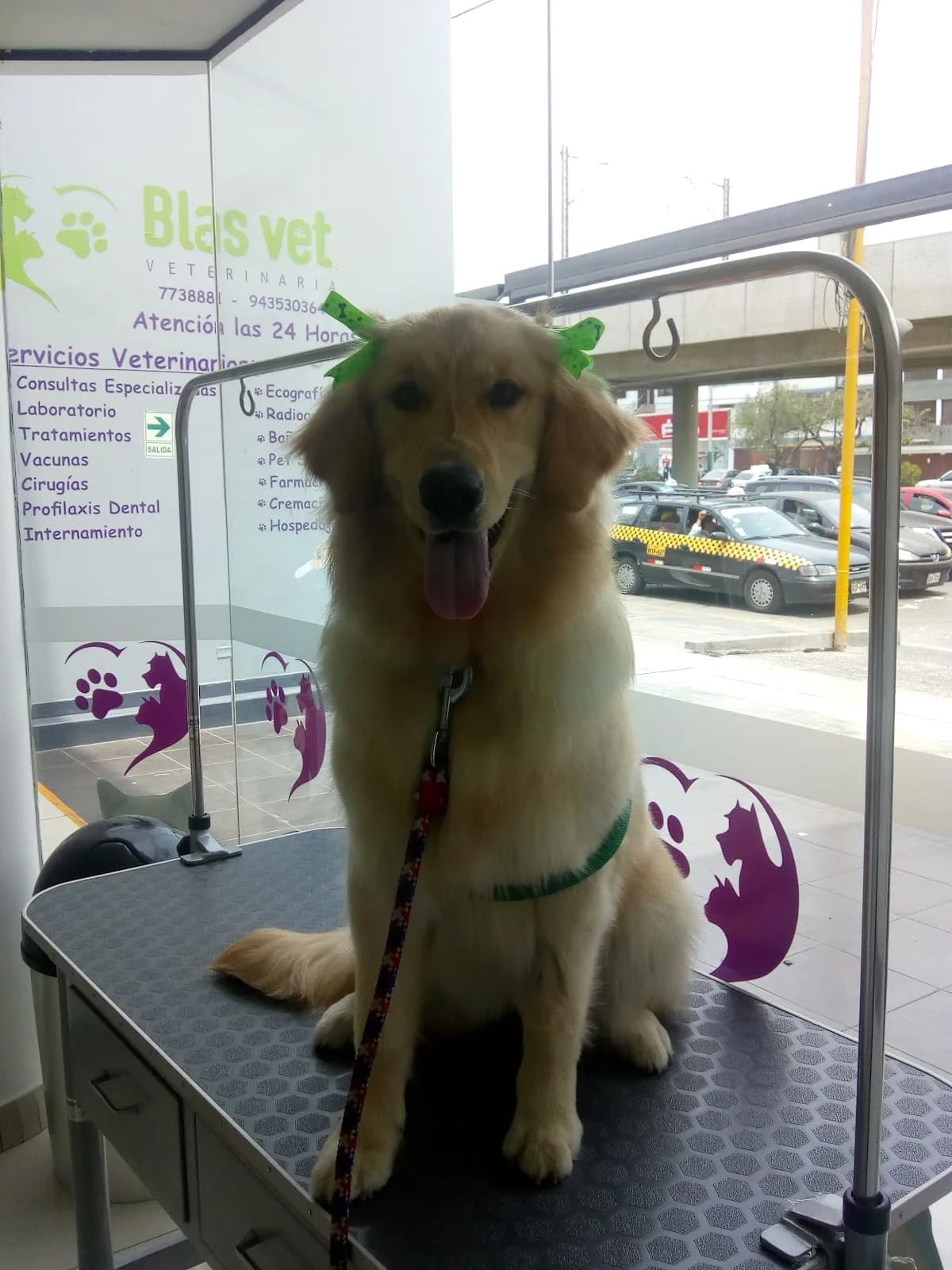 Veterinaria Blasvet Surco