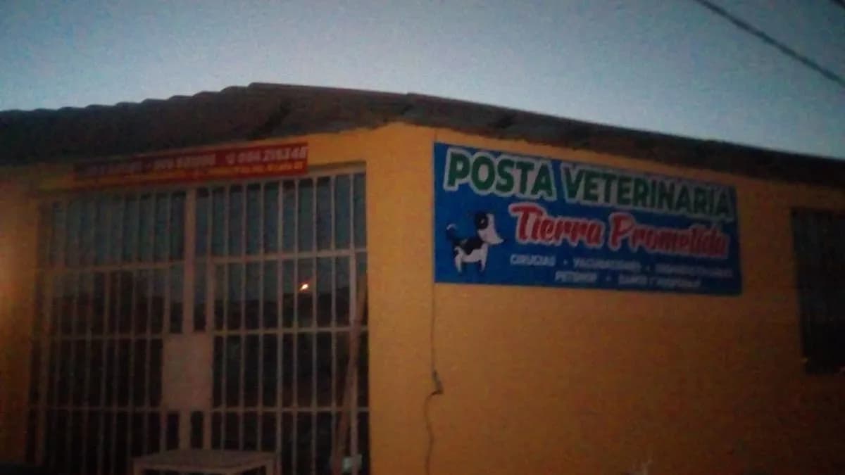 Posta Veterinaria La Tierra Prometida