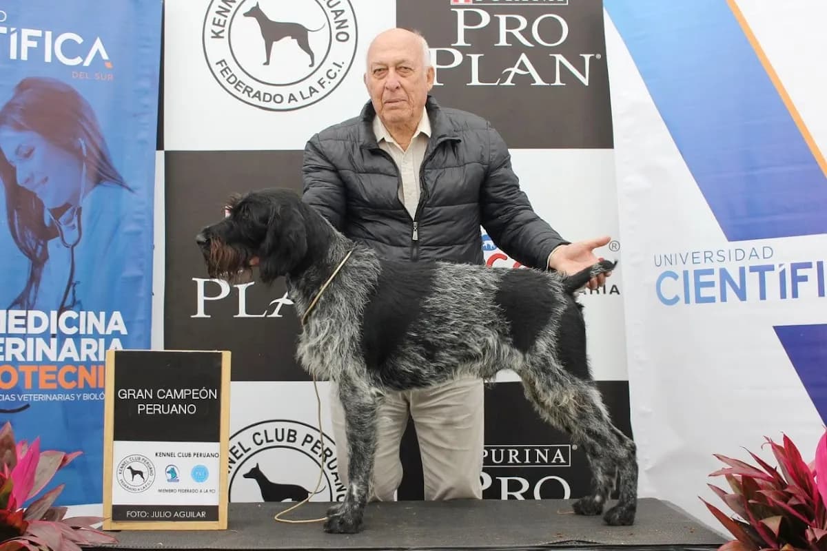 Kirchenhaus Adiestramiento Canino