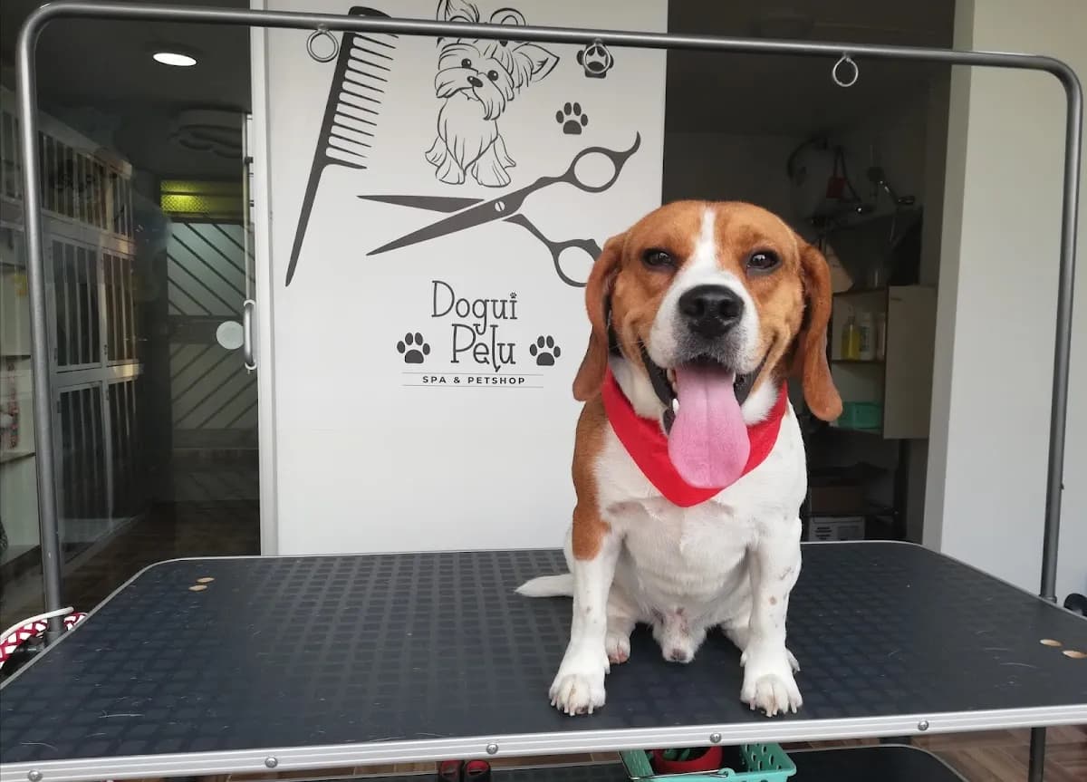 Spa & Veterinaria DoguiPelu
