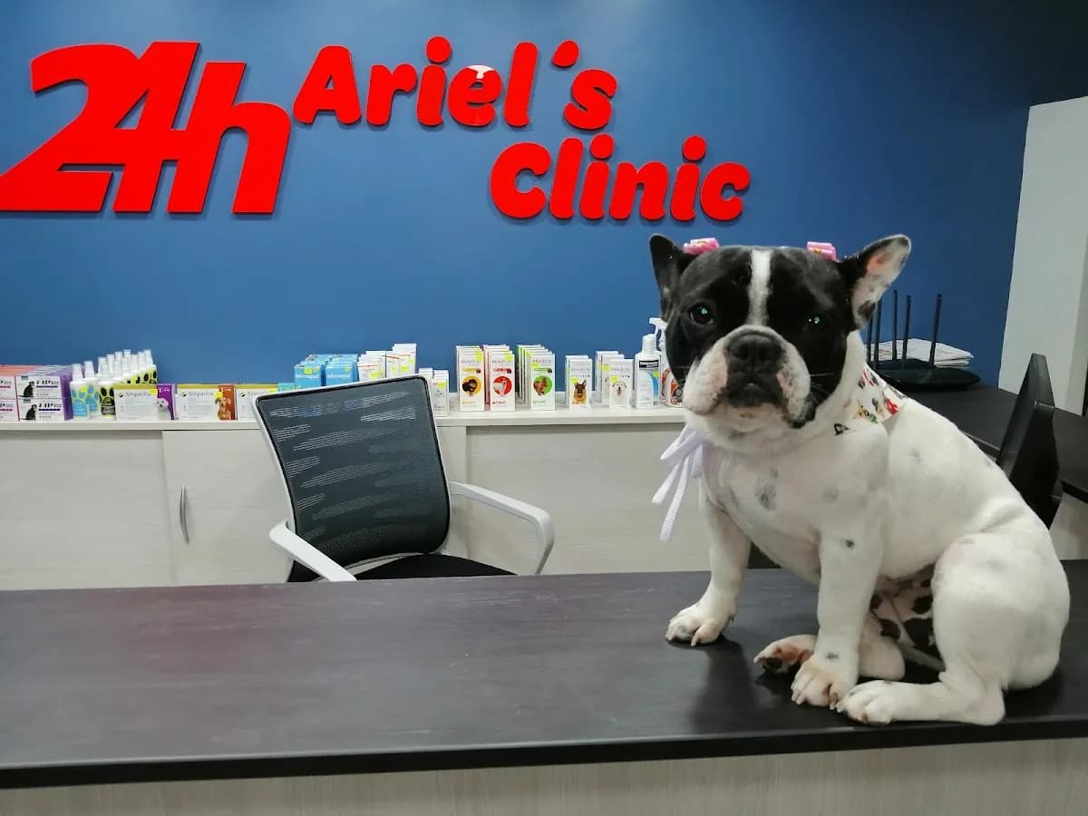 ARIELS CLÍNIC HOSPITAL VETERINARIO