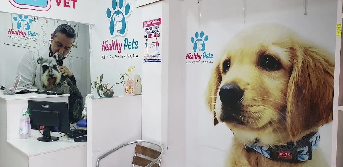 Healthy Pets Veterinaria