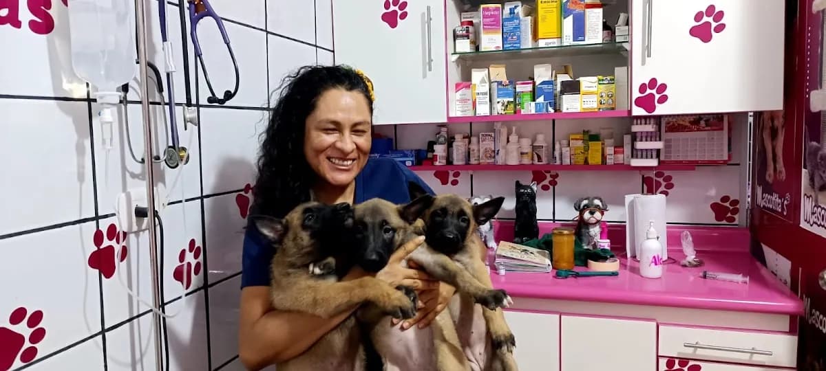 Centro Veterinario Mascotita's