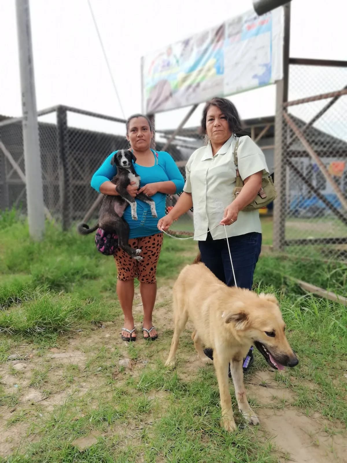 Centro Canino Municipal De Pucallpa