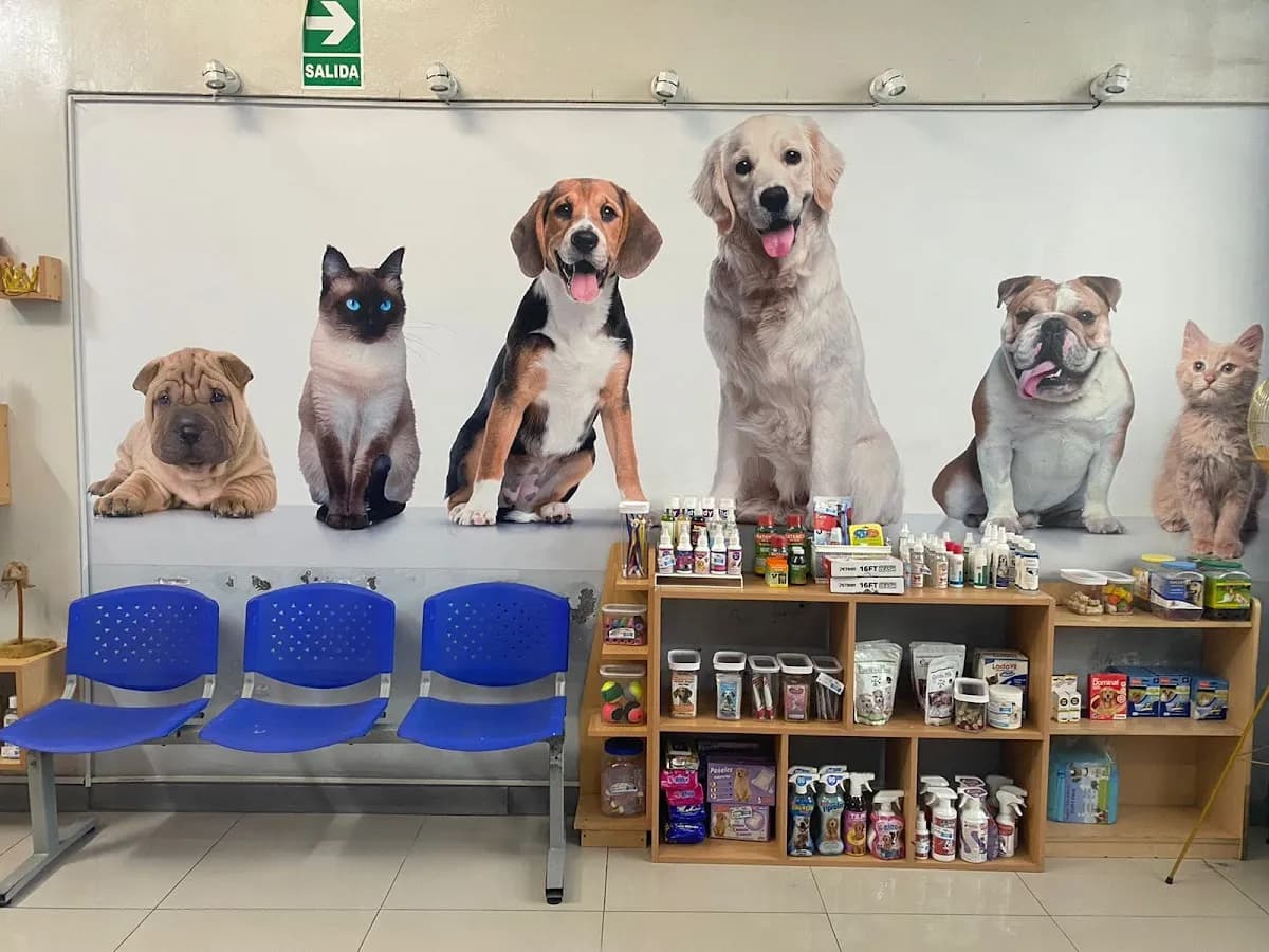 CLÍNICA VETERINARIA TOMY (PET SHOP Y BOUTIQUE)