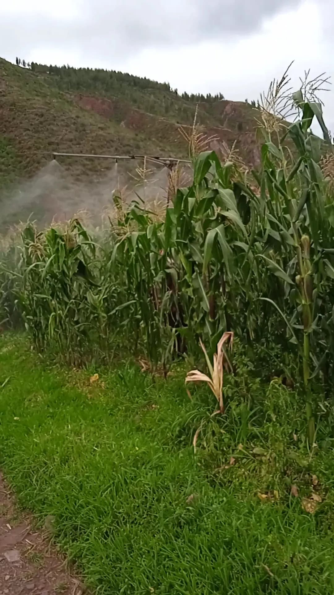 Agroveterinaria el Casero