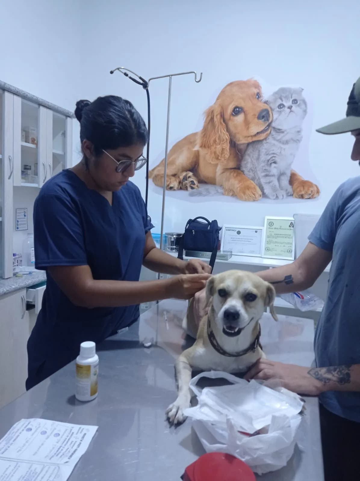 Clínica Veterinaria Lumivet