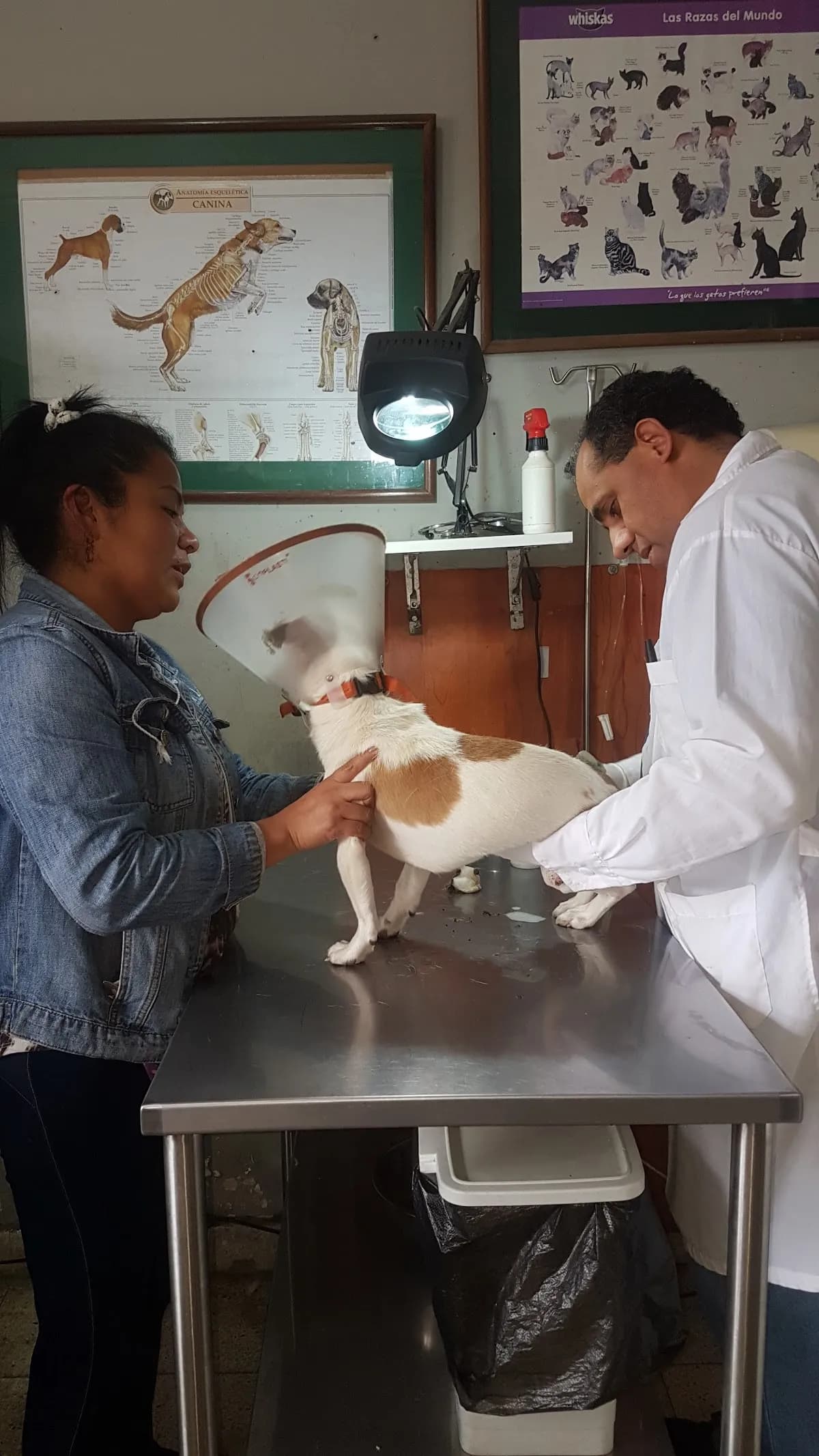 Vet Dr Felix Saldarriaga (Ex San Bernardo)