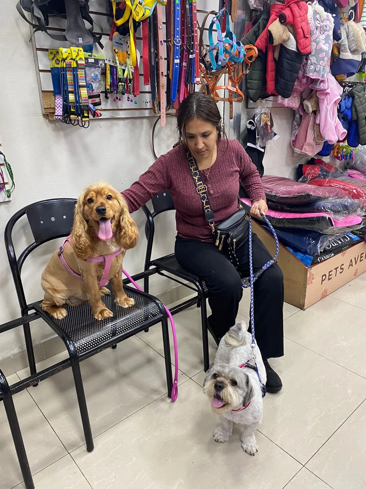 Veterinaria Daazivet - San Martín de Porres