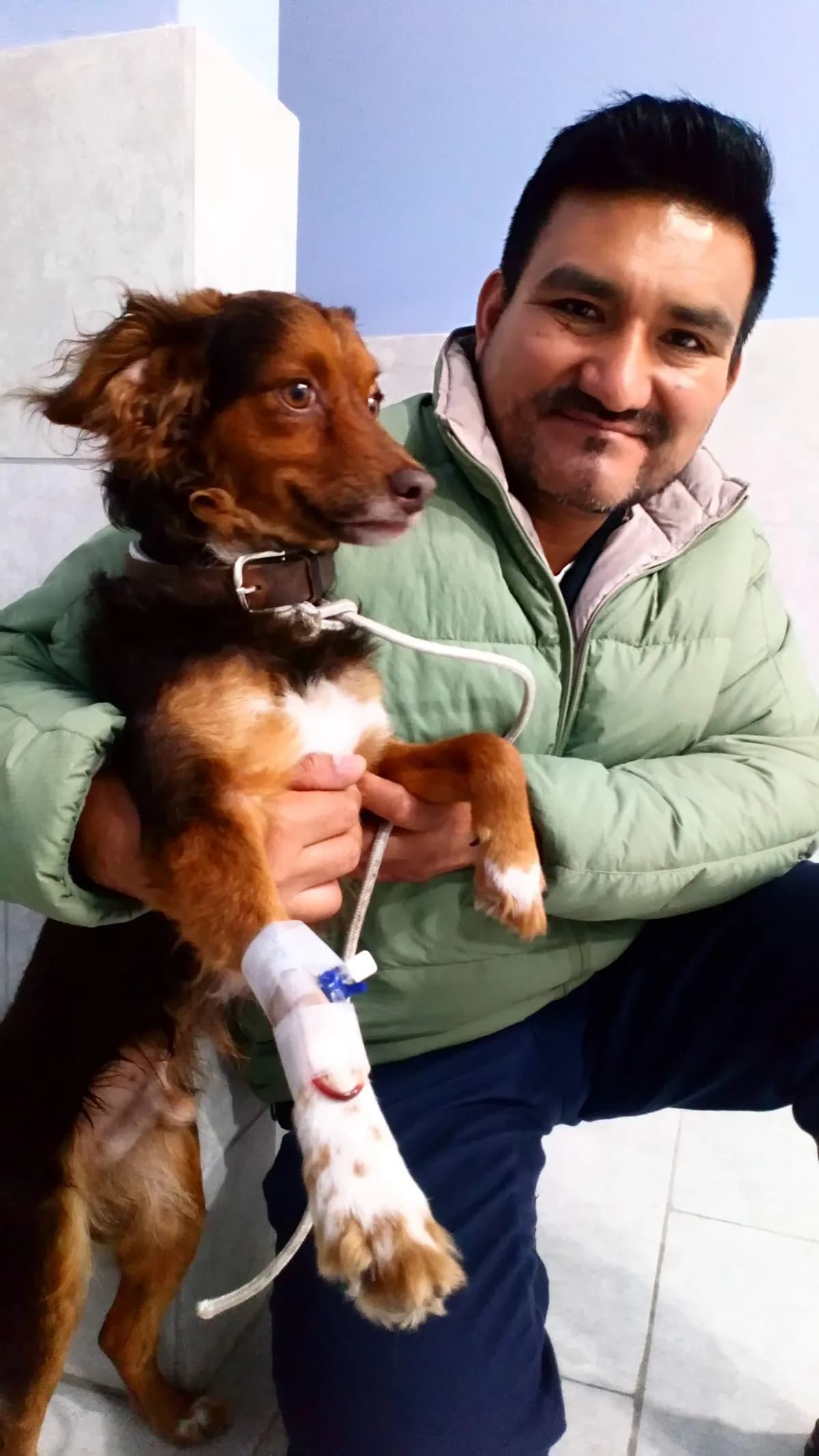 Clinica veterinaria Mis Patas