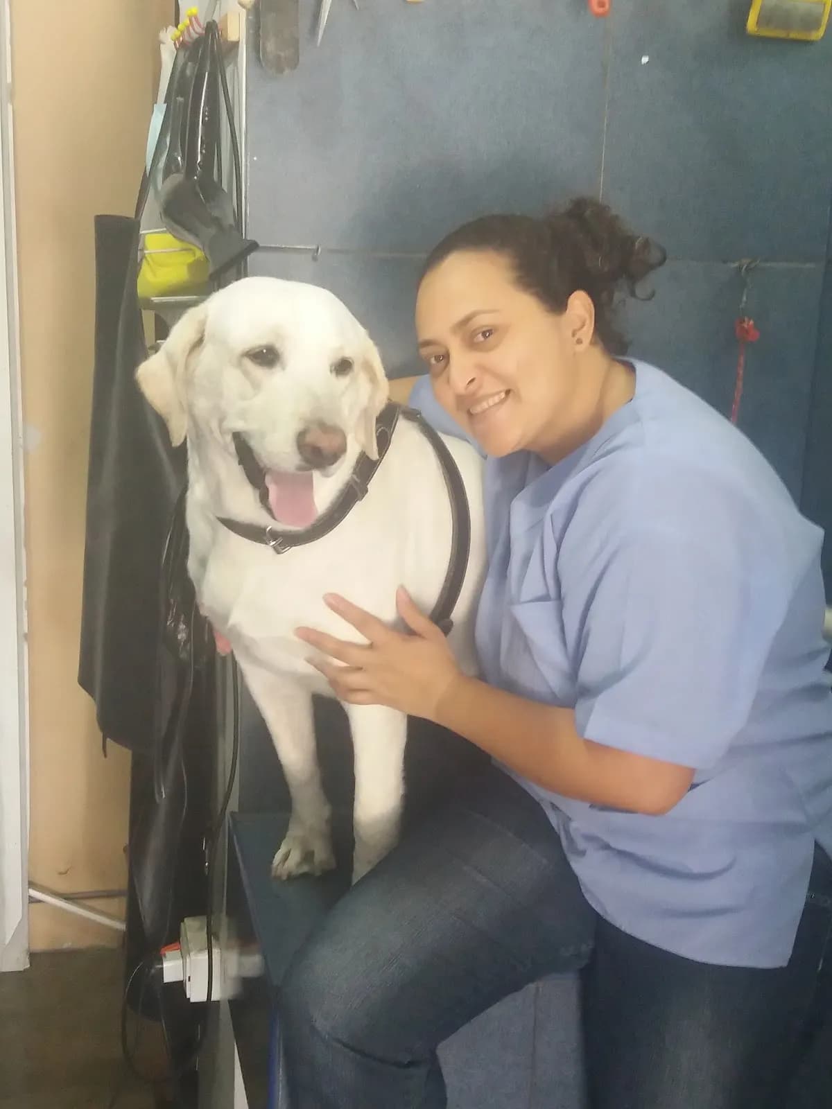 Veterinaria Entre Patas y Maskotas
