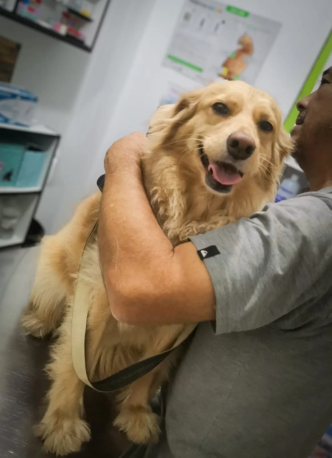 CENTRO VETERINARIO COTAVET - COTITA