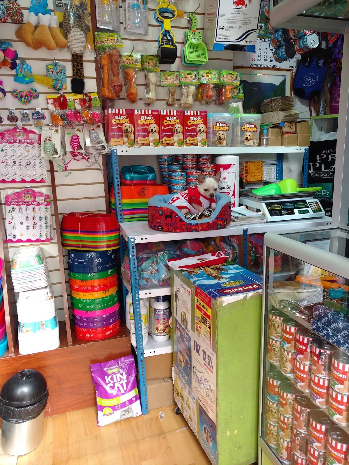 Pet Shop Veterinaria FOX'S S.R.L.