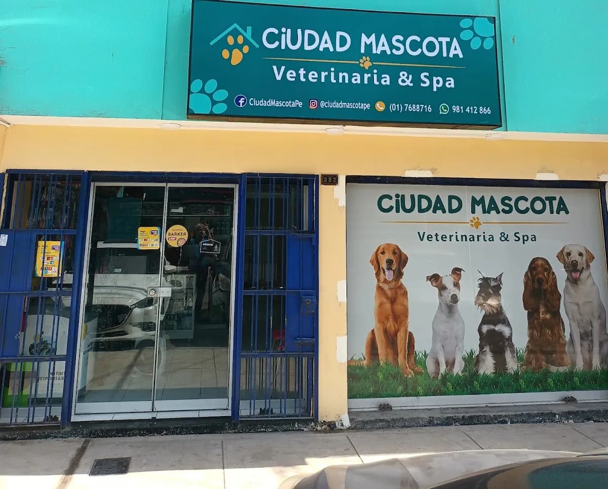 Veterinaria Ciudad Mascota
