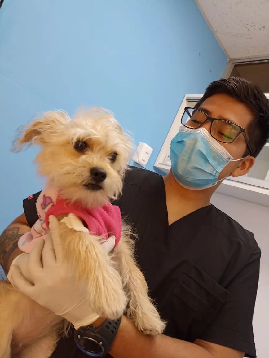 Veterinaria del Sur