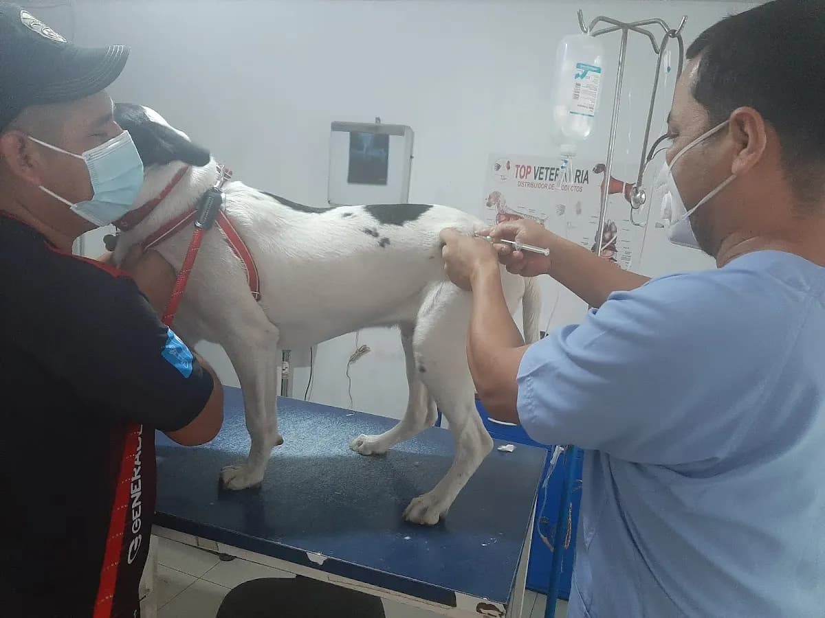 Veterinaria San Gabriel