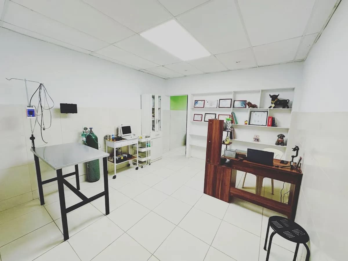 Clínica Veterinaria Colitas Vet