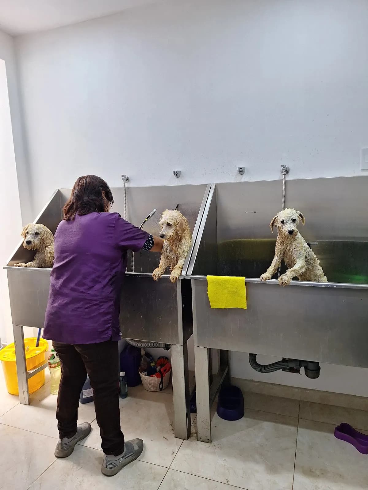 Veterinaria & Spa Pets 210