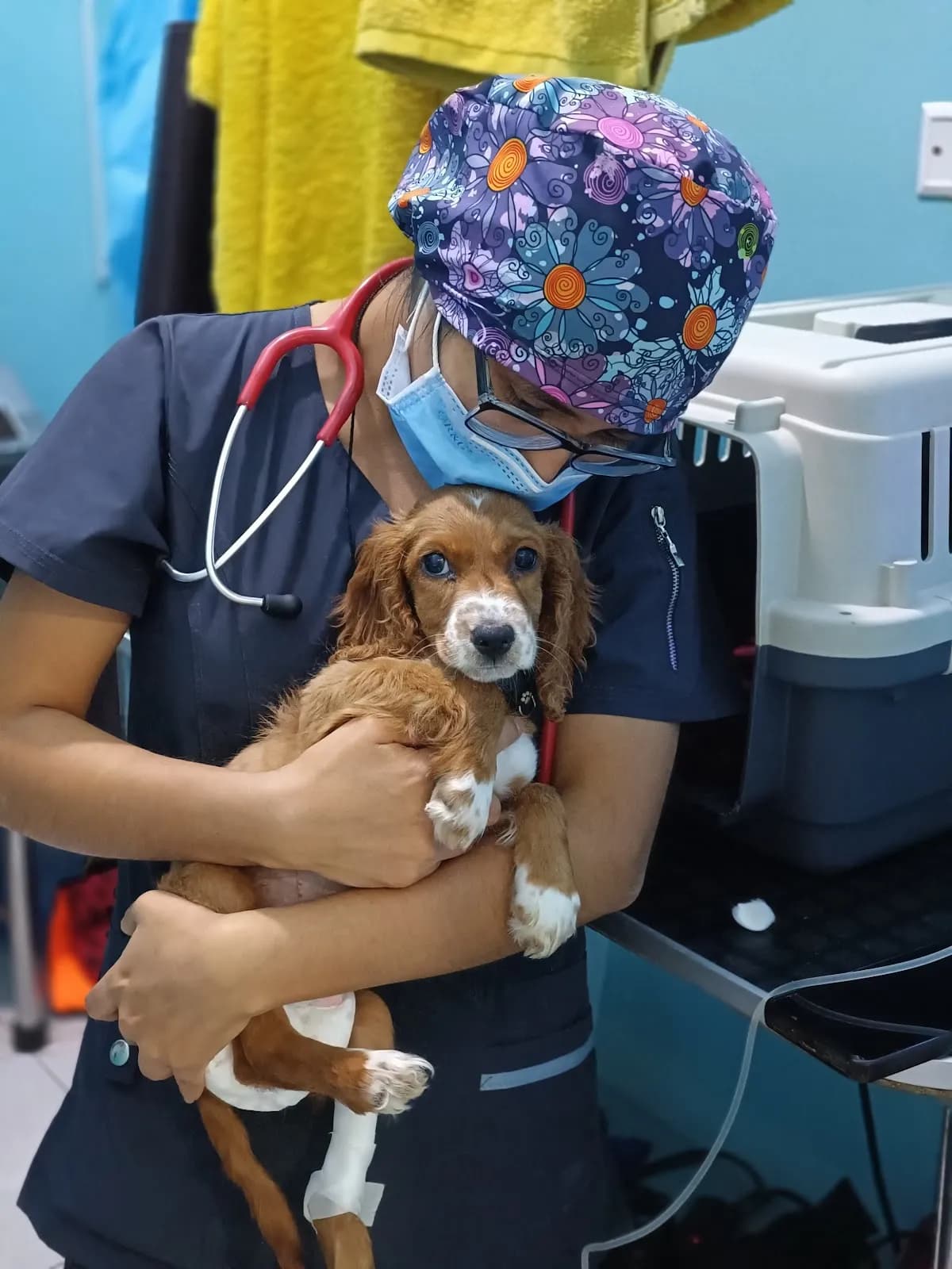Clínica Veterinaria Vet Planet