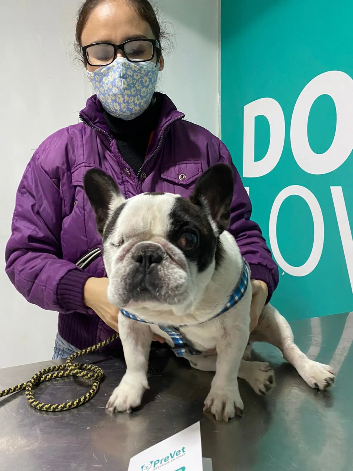 Clinica Veterinaria Prevet