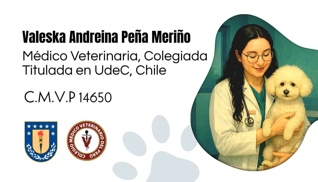 Veterinaria a domicilio