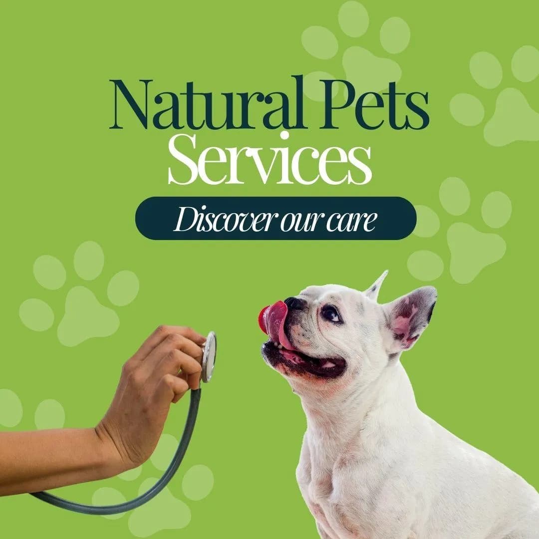 Natural Pets Veterinaria