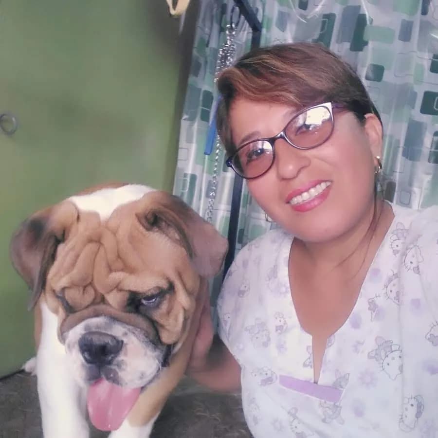 veterinaria"SPA SALUD ANIMAL"