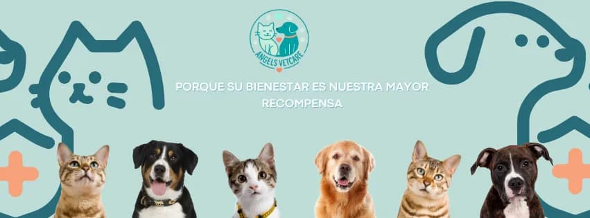 Veterinaria Angels Vetcare