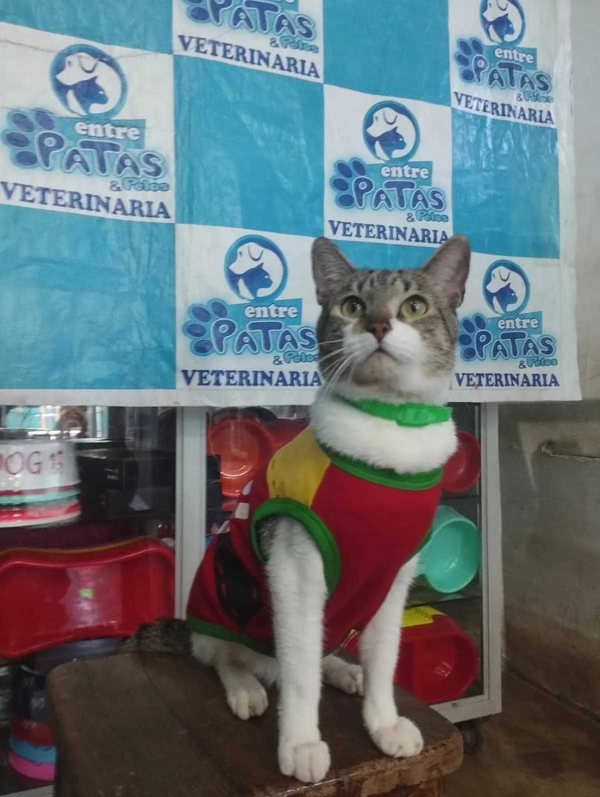Veterinaria y Peluquería Canina Entre Patas y Pelos