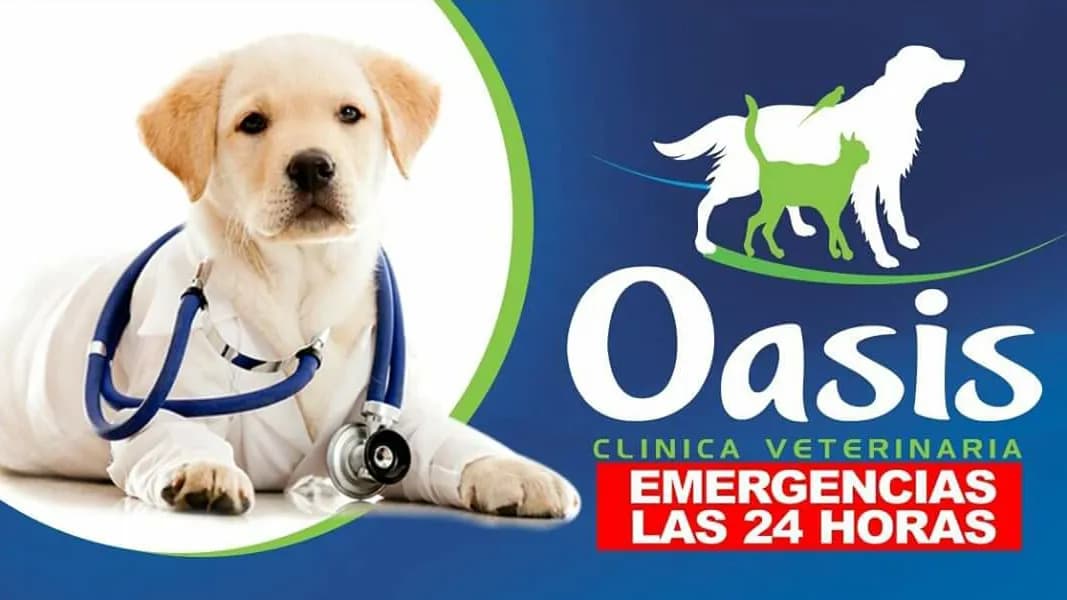 Clinica Veterinaria "Oasis"