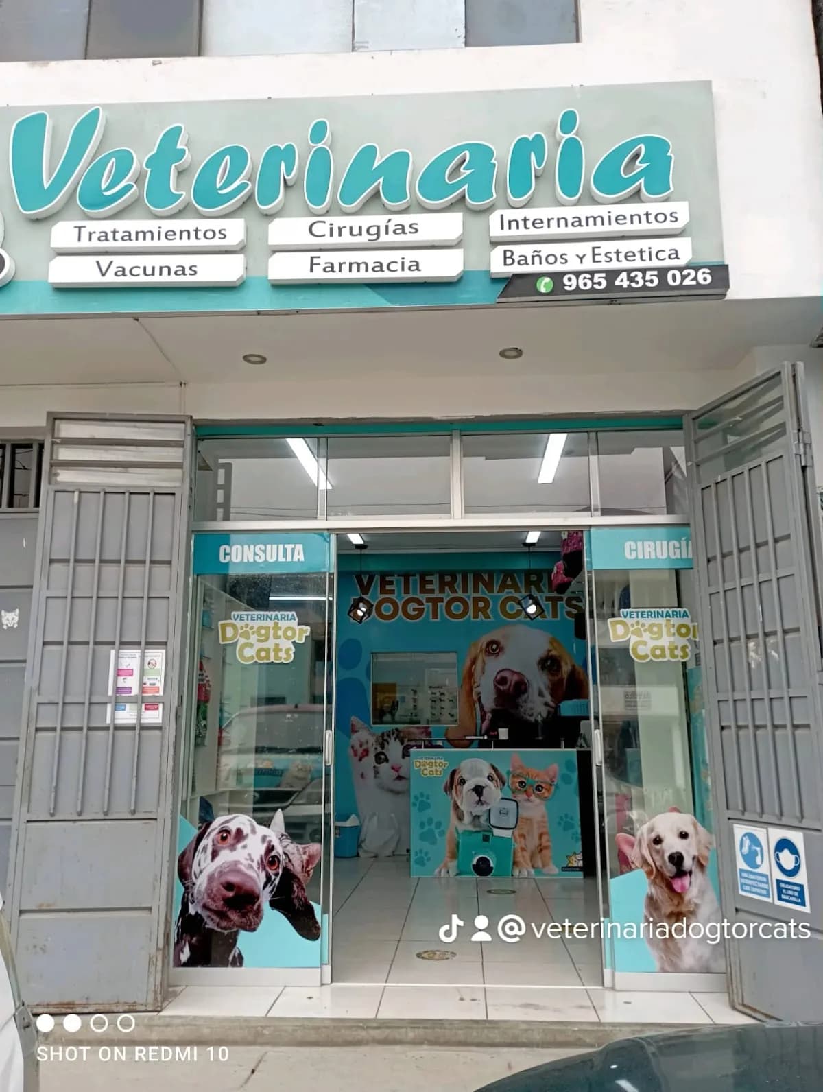 VETERINARIA DOGTOR CATS