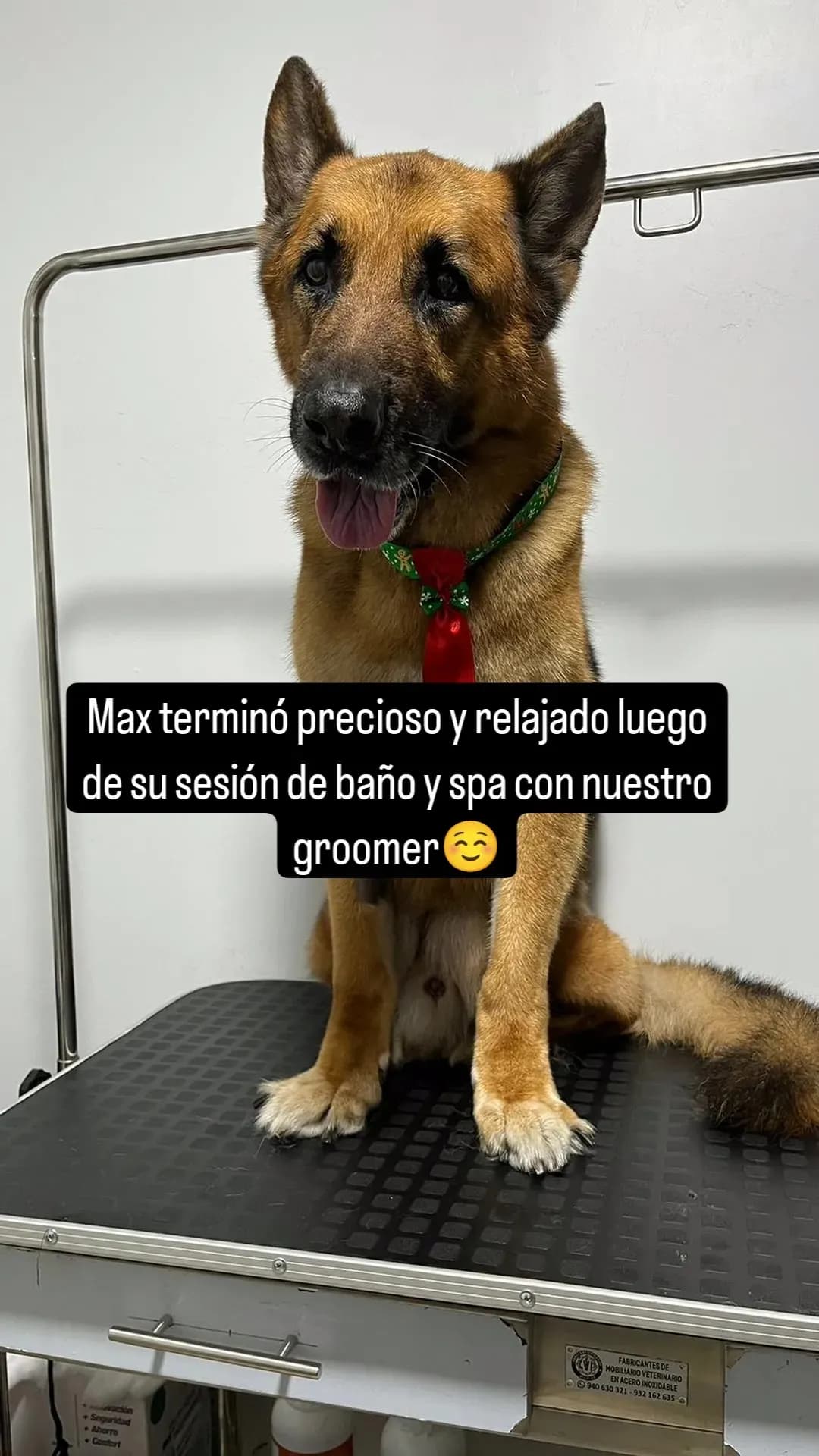 Centro Médico Veterinario Alpha Animal