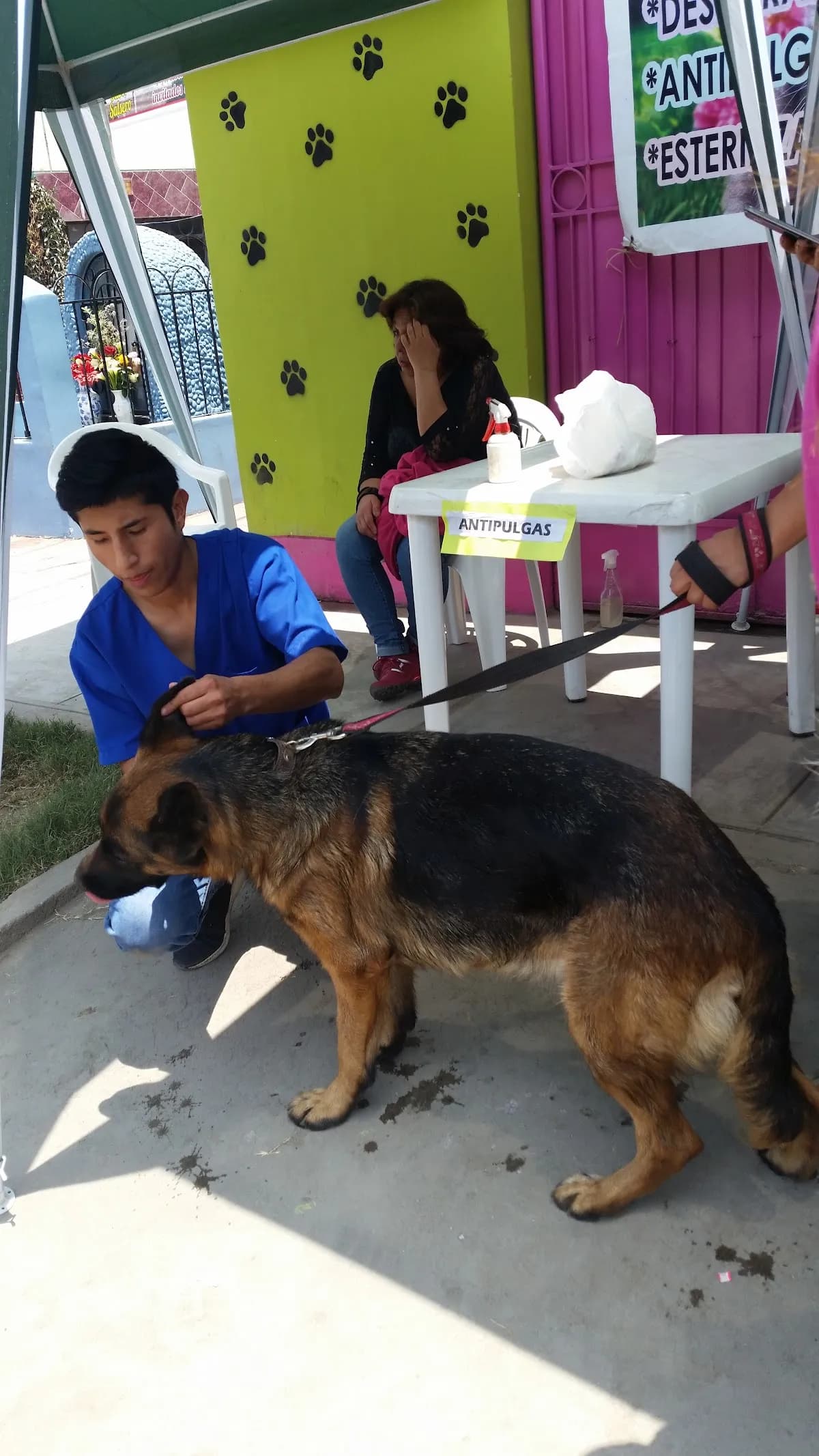 Clínica Veterinaria Maryvet Sede Trapiche