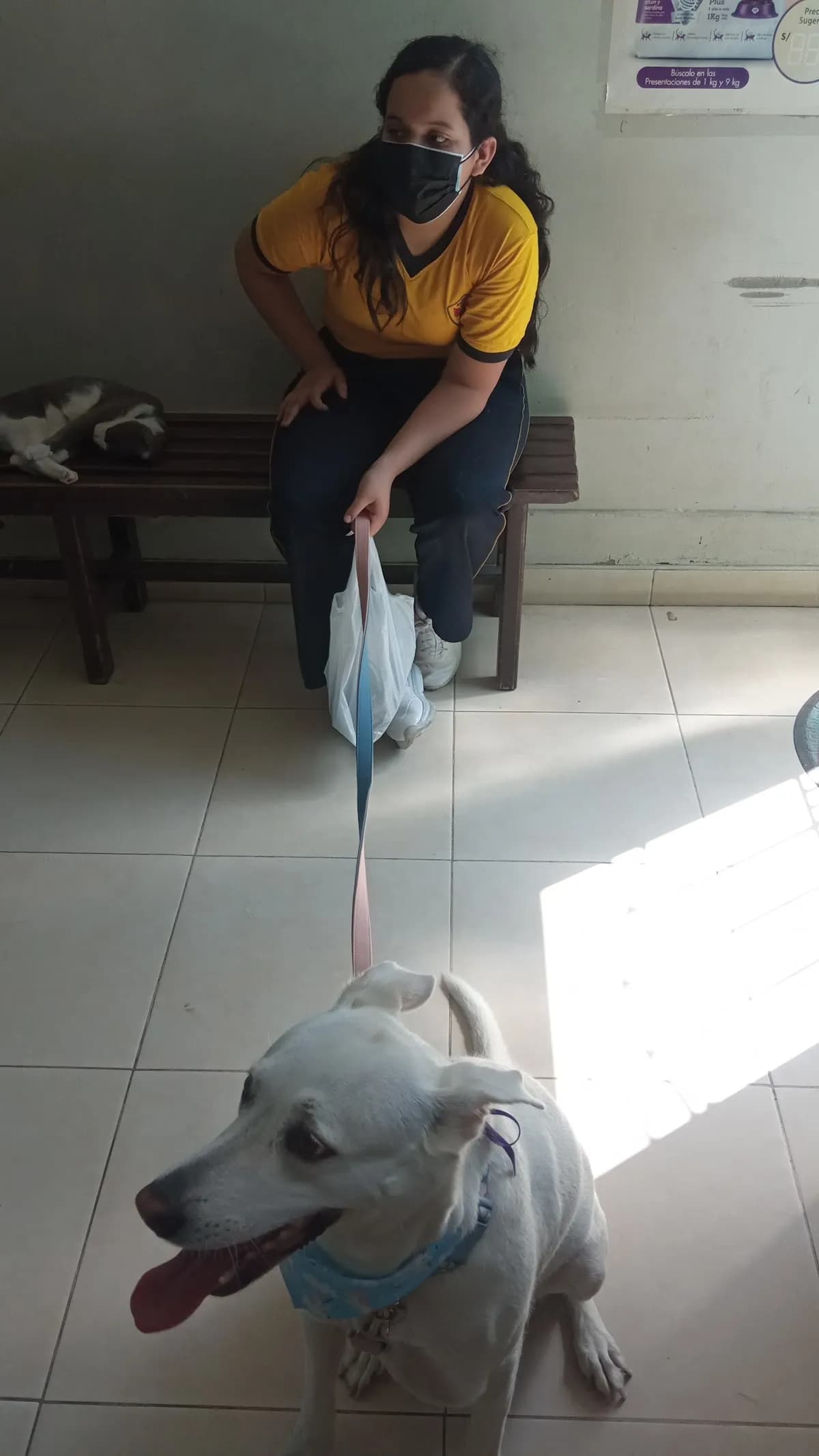 Veterinaria Petit Pet Shop