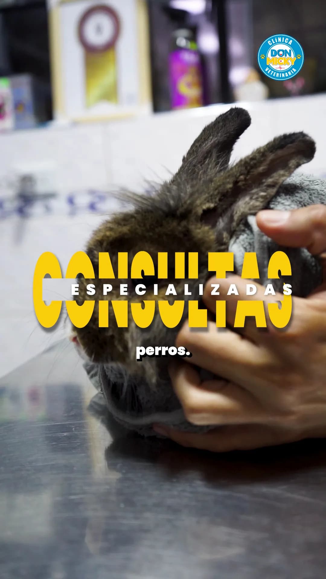 Clìnica Veterinaria Don Micky