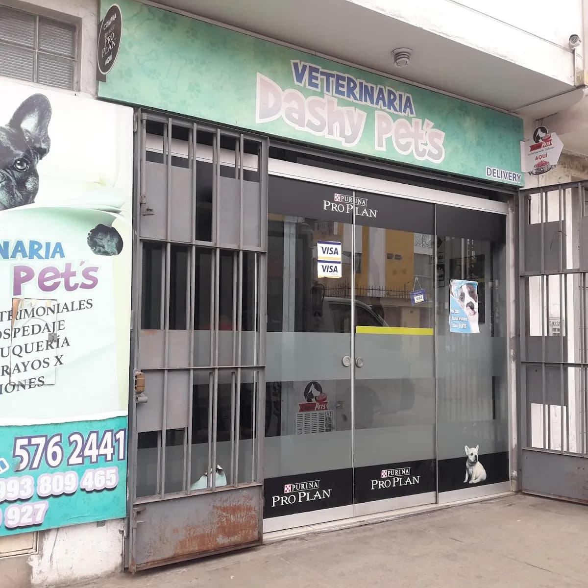 Clínica Veterinaria Dashy Pets - Sede Santa Anita