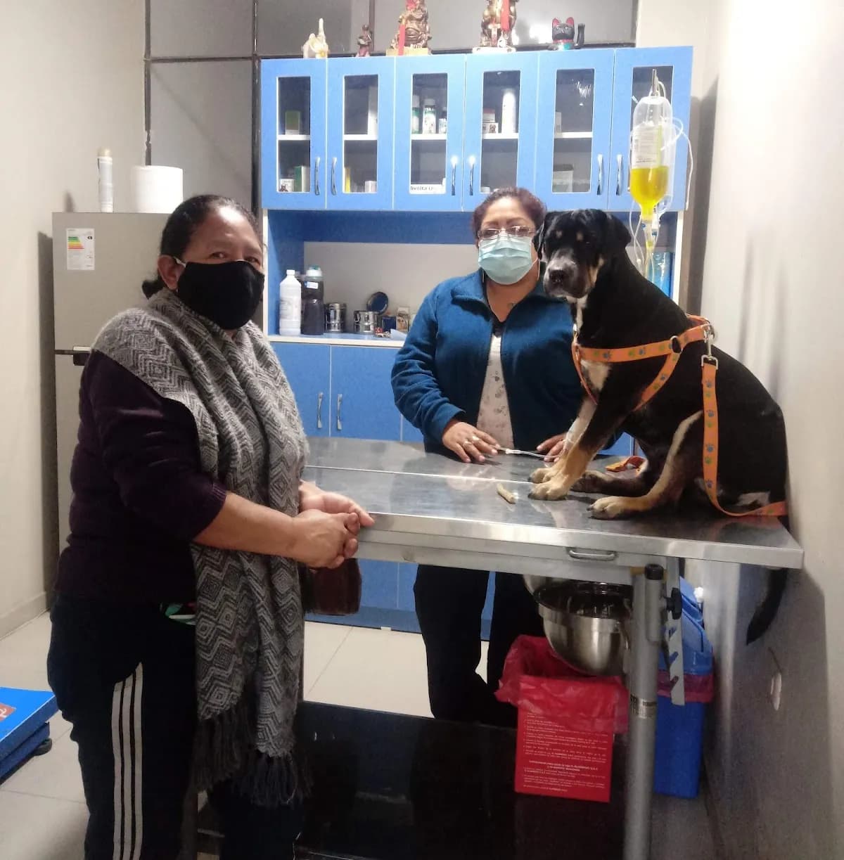 Clinica Veterinaria Pet shop Colita Feliz E.I.R.L